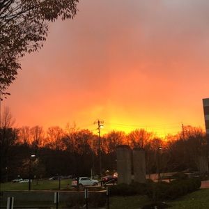 Meet your Posher, Raven